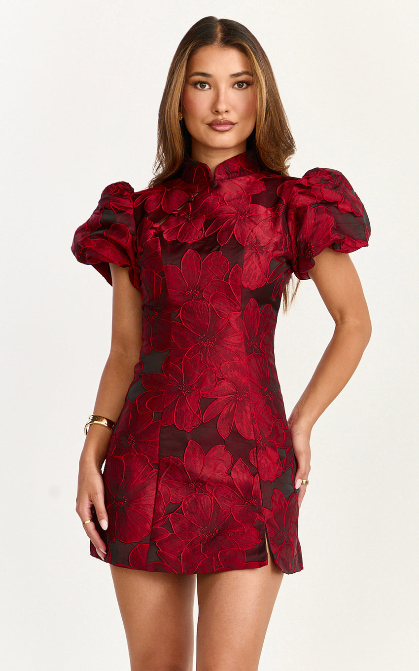 Mackay Mini Dress - Jacquard High Neck Puff Sleeve Dress in Wine